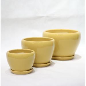 Stylish And Durable Ceramic Pots For Indoor And Outdoor Planting