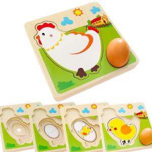 Buy cheap 3D Chicken Growth Process Wooden Multi Layer Puzzle from wholesalers