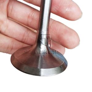 Buy cheap Inlet valve Exhaust valve 02137300 02237221 04153697 04159139 04231804 02137457 04159136 04153629 02137301 04159138  04230567 for deutz FL914 FL913 BFL914 BFL913 TCD914 engine from wholesalers