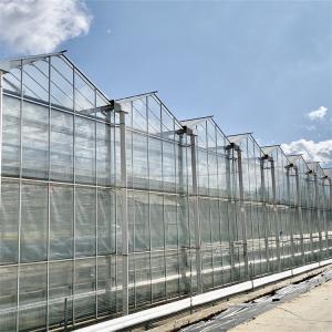 Buy cheap Venlo Automated Plant Hydroponic Tempered Glass Greenhouse Multi Span Agricultural from wholesalers