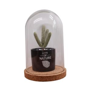 Buy cheap ODM Dampproof Mini Glass Bottle Corks Glass Base Dome 2.5*2.2IN Groove Line from wholesalers