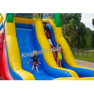 Giant eye-catching 15' Backyard Inflatable Water Slide Wet or Dry with PVC