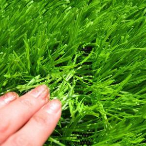 Buy cheap SGS Approved Plastic 9000 Dtex Artificial Turf Grass Eco-Friendly from wholesalers