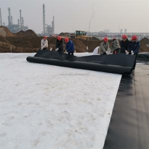 Custom Length Fish Farm Ponds Liner 1mm HDPE Geomembrane with Double Texture