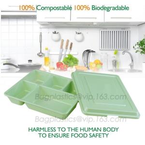 plastic tray, food tray, food container, Fast Food Tray biodegradable plastic 5