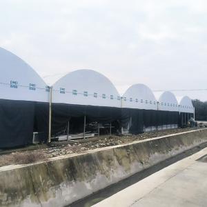 Buy cheap Nursery Commercial Blackout System Plastic Panda Film Multi-span Greenhouse from wholesalers