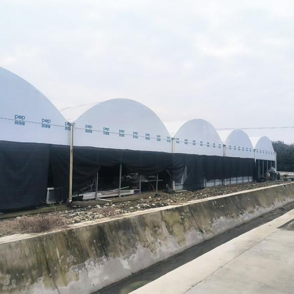Quality Nursery Commercial Blackout System Plastic Panda Film Multi-span Greenhouse for sale