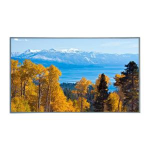 31.5" AUO Full HD LCD Module 500nits Brightness 50,000 Hours LED Life