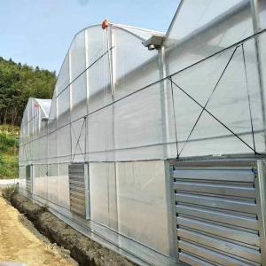 Buy cheap Automatic Control Polyethylene Film UV Protection Multi Span Greenhouse For Plants Growing from wholesalers