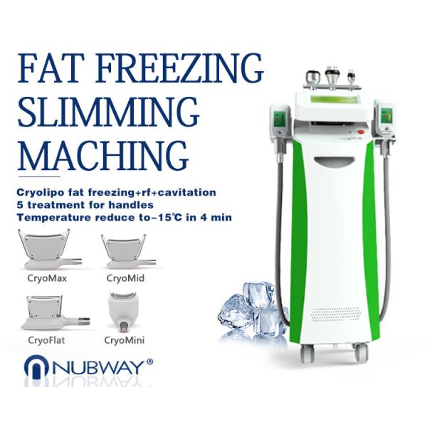 Quality 2017 Fast fat reduce cryolipolysis slimming machine,freezing fat cell slimming machine for sale
