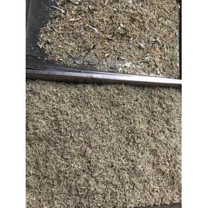 64 Channels Optical Sorting Machine For Shrimp Secondary Sorting Function