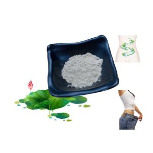 Buy cheap Stable Natural Lotus Leaf Extract Powder Nuciferine 50% Anti Obesity product