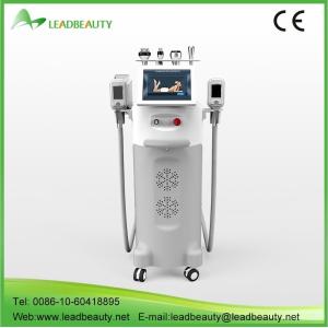 China kryolipolysis slim freeze belt 5 treatment head fat loss machine on sale