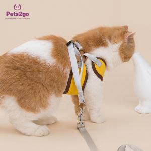 Fruit Color 100g Stocked Custom Dog Shirts Pets Wearing Clothes