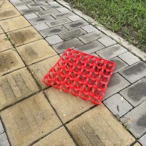 Buy cheap Agriculture 30 Count Plastic Egg Containers Egg Storage product