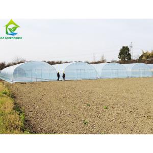Buy cheap Agricultural Polytunnel Commercial Hydroponic Greenhouse For Mushroom Cultivation from wholesalers