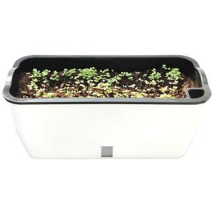 Buy cheap Non Recycled Cotton Rope Basin 20cm Self Watering Wick And Grow Pots from wholesalers