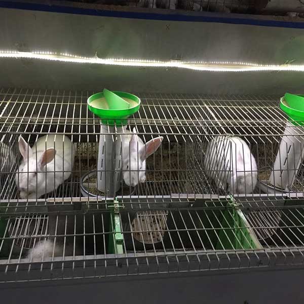 Quality Silver / Green Commercial Rabbit Cages , Labor Saving Indoor Rabbit House for sale