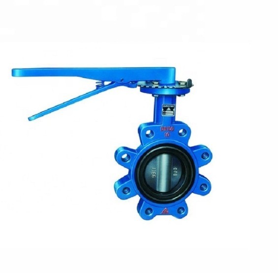 Quality Excellent Cast Iron Stainless Steel Valves and Fittings for Versatile Applications for sale