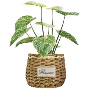 Buy cheap PE Artificial Potted Floor Plants For Fake Plant Philodendron Birkin from wholesalers