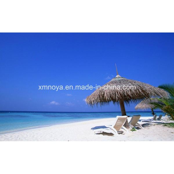 Customized Waterproof Thatch Roofing Material for Beach Synthetic and Customized