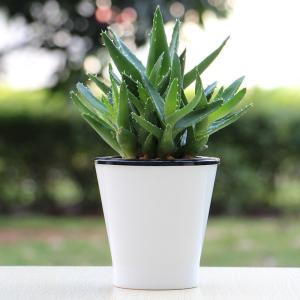 Buy cheap OD 110mm Cone Sprout Sauto Reservoir Self Watering Houseplant Pots from wholesalers