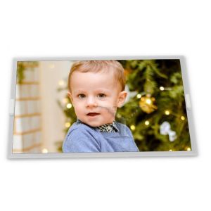 Buy cheap 12.1-Inch NL12880BC20-26 Resistive WLED TFT LCD Display 1280*800 Resolution 20-Pin LVDS NL12880BC20-26NH LED LCD Display from wholesalers