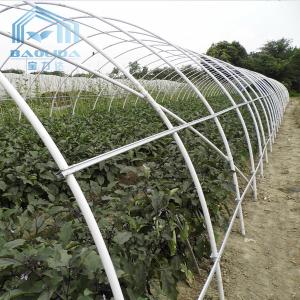 Buy cheap Side Ventilation Tunnel Plastic Greenhouse Cold And Wind Resistant from wholesalers