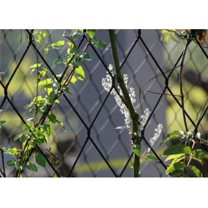 Buy cheap 40mm*40mm Hole Size SS316 Stainless Steel Rope Mesh Green Wall For Plant from wholesalers