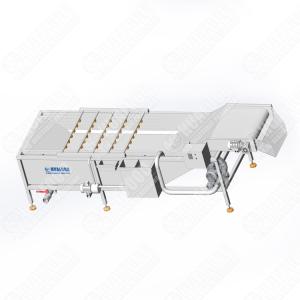 Hot Multi-Function Restaurants Brush Type Pepper Washing Machine Assembly Line