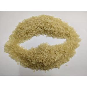 SIEMENS Artificial Rice Processing Line Multifunction Twin Screw Extruder