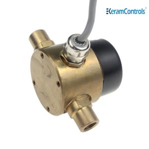 BSP 2 Wire Liquid Differential Pressure Switch 24V