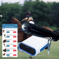 Buy cheap Ligament Injuries ESWT Equine Shockwave Machine 190mJ Max product