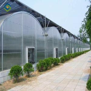 Buy cheap 12m Multi Span Greenhouse With Hydroponic Growing Systems from wholesalers