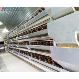 Buy cheap Easy Operate Automatic Poultry Farm Equipment A Type Laying Hen Cages from wholesalers