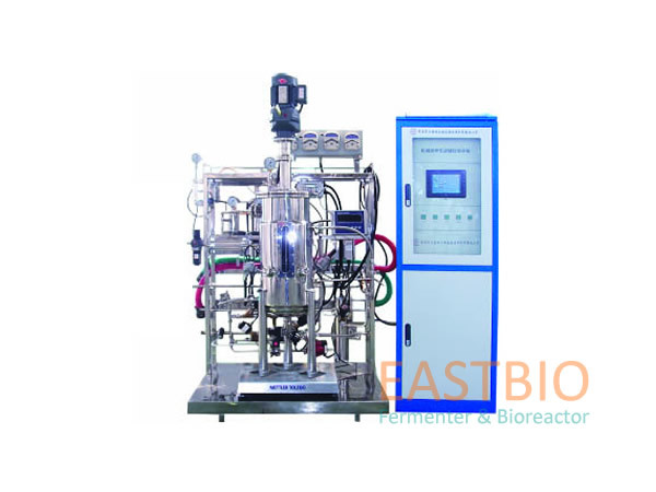 Mechanical Stirred Stirred Tank Bioreactor 50L Glass Rotameter Ring Sparger