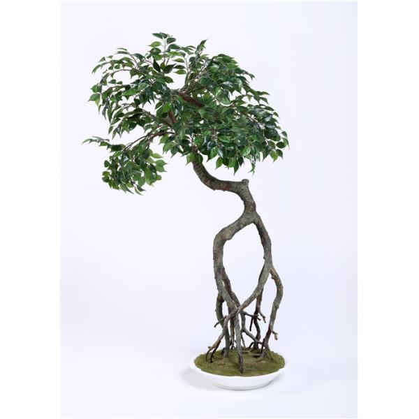 Vibrant Color Artificial Ficus Tree Curved Trunk , Pre Lit Ficus Tree Premium