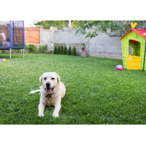 Buy cheap Pet-Friendly Artificial Playground Padded Turf For Dogs UV Resistant from wholesalers