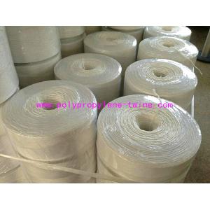 Buy cheap Horticulture Vegetable Fruit Plastic Polypropylene Twine Tying Bundling Rope from wholesalers