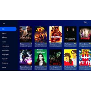 Custom IPTV Receiver Box