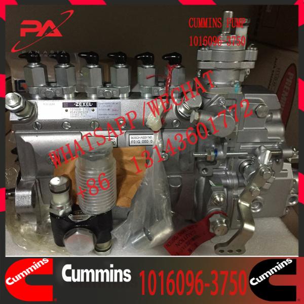 Buy cheap 1016096-3750 Cummins Diesel Engine Fuel Injection Pump 3075537 3636943 from wholesalers