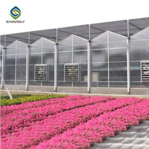 10.8m PC Sheet Greenhouse