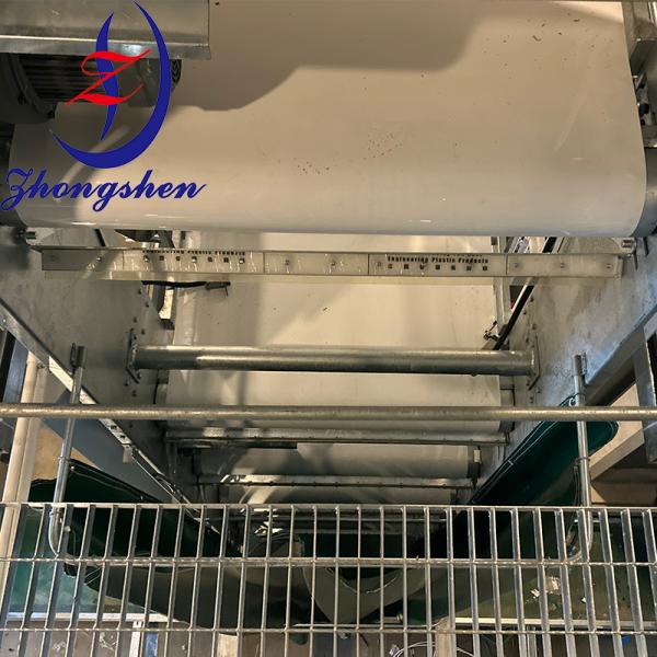 Quality Zhongshen Brand Manure Removal Belt-China Top Poultry Manure Belt Factory for sale