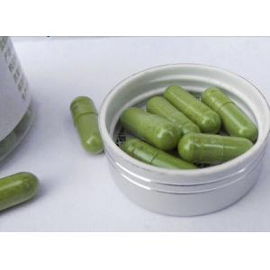 China NJP-1200C 100% Pure Moringa Powder Capsule Filling Machine Fully Automatic