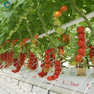 Buy cheap Custom Tomato Greenhouse with Drip Irrigation and LED Grow Lights from wholesalers