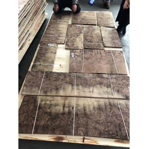 Buy cheap 8% Moisture American Black Walnut Veneer from wholesalers