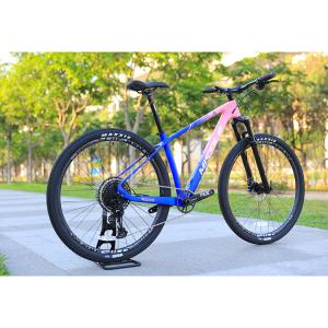 Buy cheap Lightweight 29 Inch Mountain Bike with Carbon Fiber Front Fork and YBN S12S Chain from wholesalers