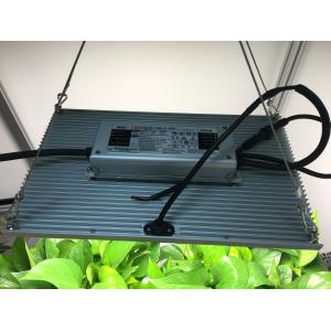 High PPFD IP65 5000lm Quantum Grow Lights