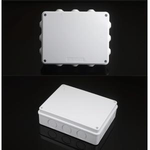 ABS Plastic Waterproof Adaptable Junction Box With Knockouts Entry Holes