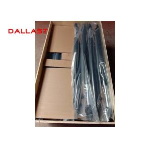 Customized Small Pin eyes 700 mm Stroke Double Acting Hydraulic Cylinder